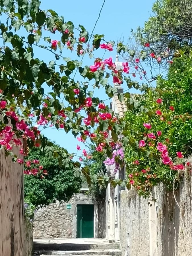 Apartamento Seaview Dubrovnik Old Town Exterior foto